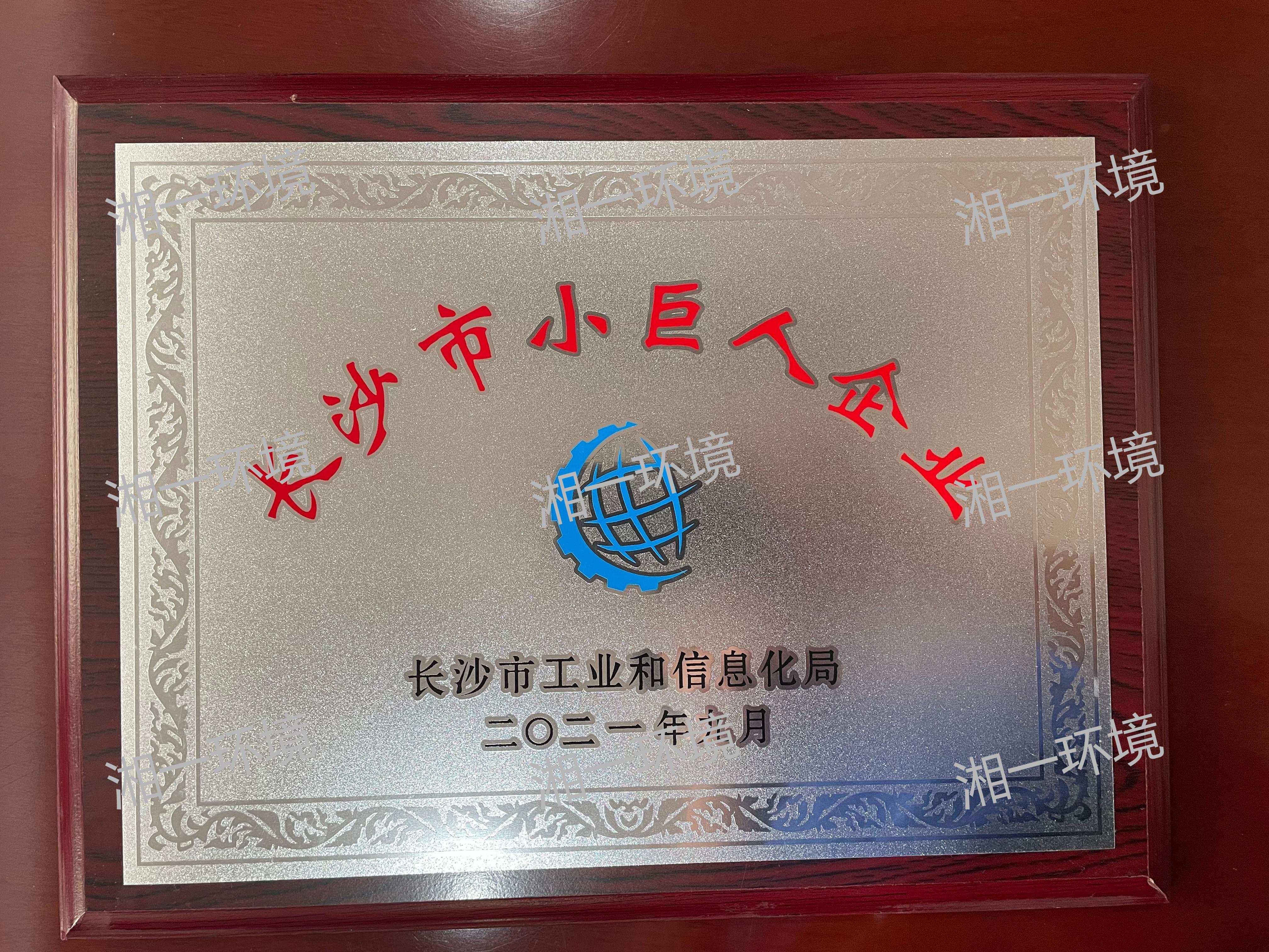 長沙市小巨人企業
